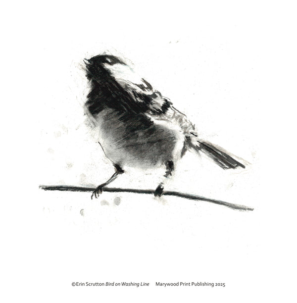 Bird On Washing Line