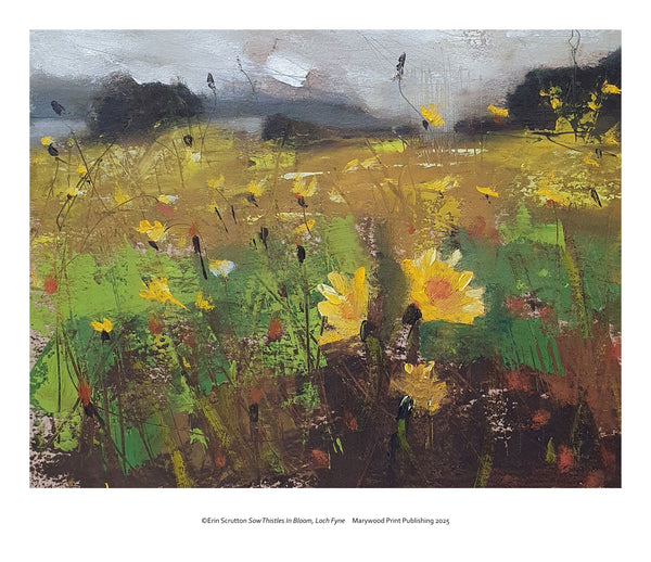 Sow Thistles In Bloom, Loch Fyne